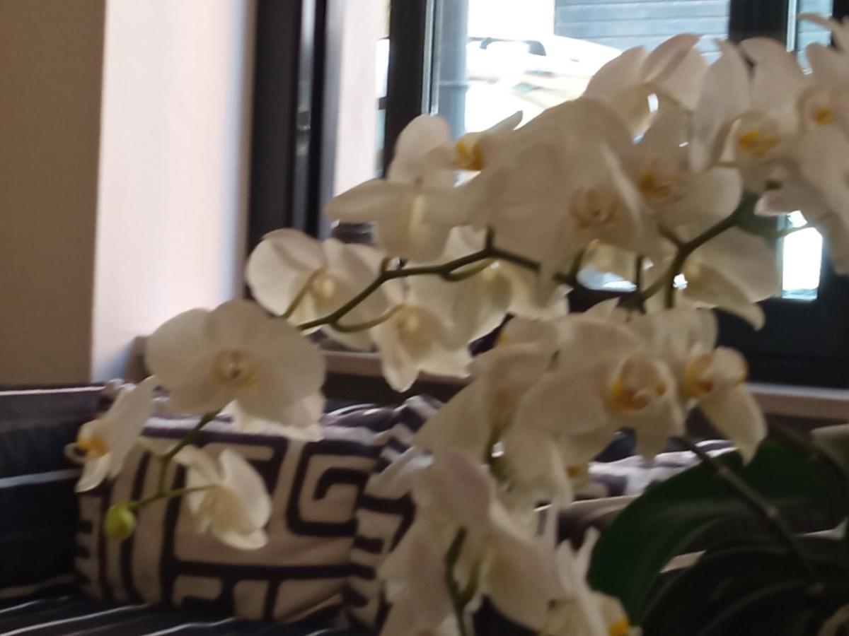 Hotel Touring Ліворно Екстер'єр фото